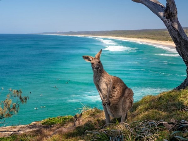 North Stradbroke Island_03.jpg
